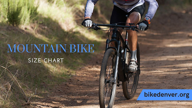 Size mountain bike by height sale